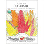 Plume Celosia Mix Seeds (Organic)
