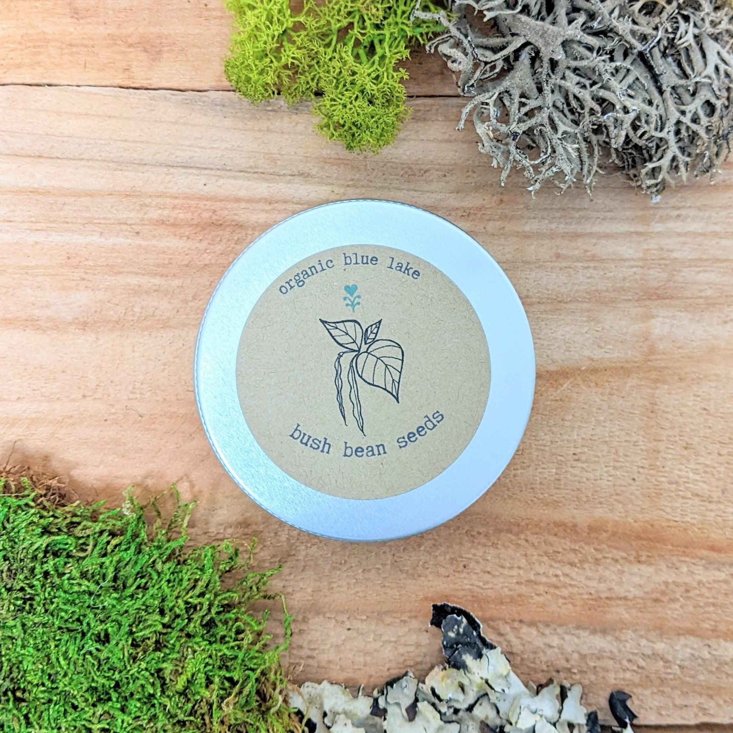 Organic Green Bean Seeds