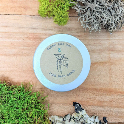 Organic Green Bean Seeds