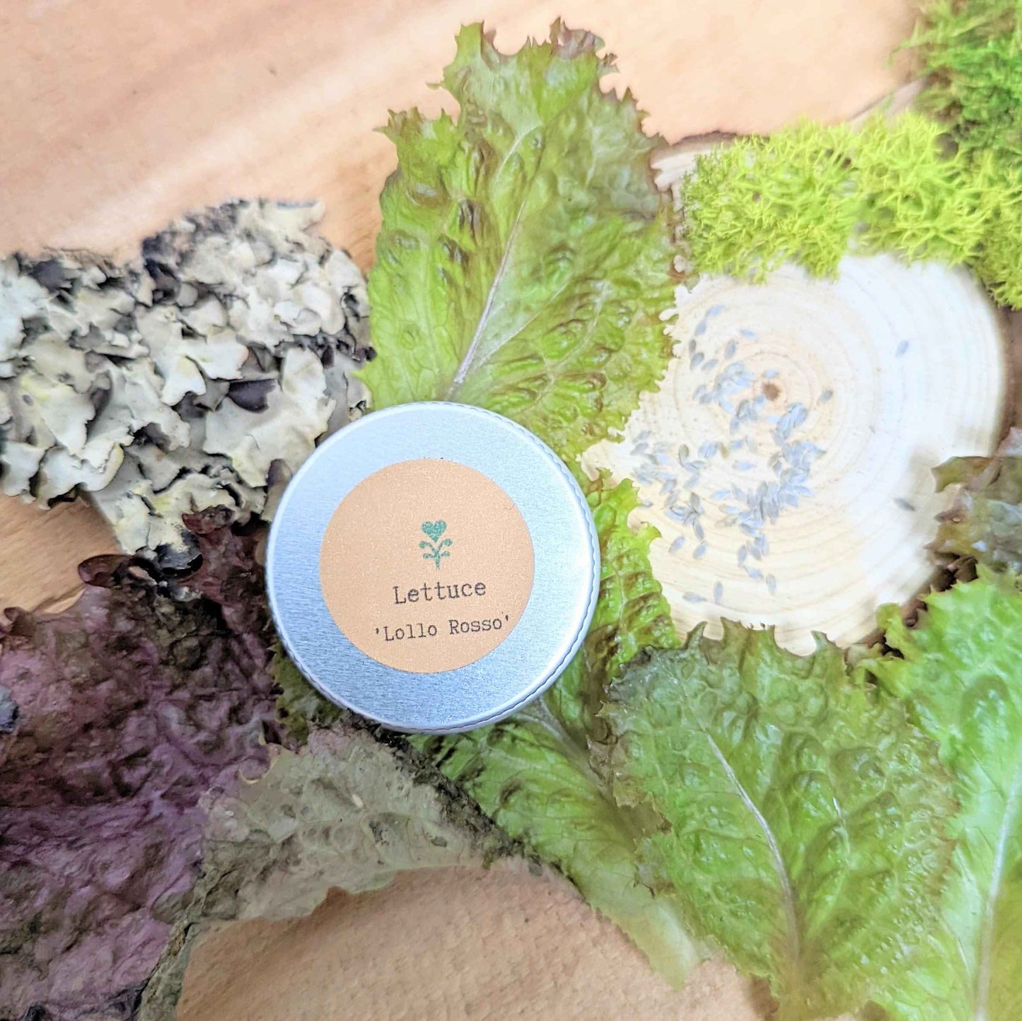 Organic Lettuce Lollo Rosso Seeds