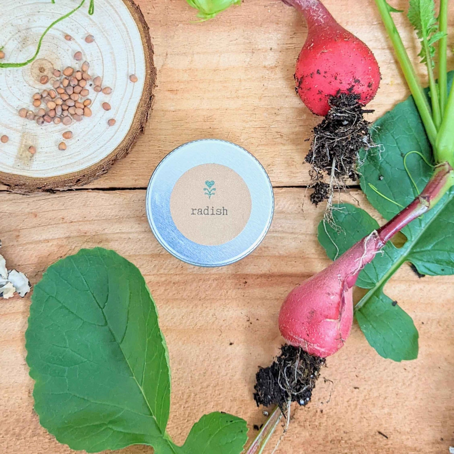 Organic Radish Seeds