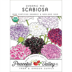 Dynamic Scabiosa Mix (Organic)