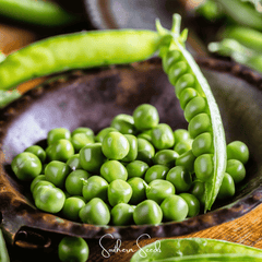 Early Frosty Peas – 25 Seeds