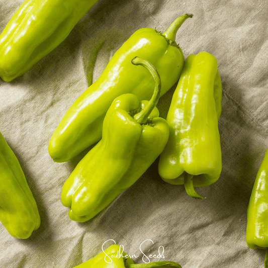 Cubanelle Sweet Pepper – 25 Seeds