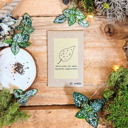 "Pet-Friendly" Houseplant Seed Collection