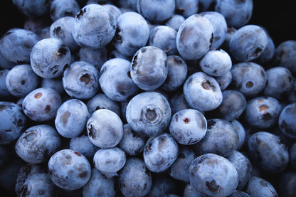 50 Southern Highbush Blueberry (Vaccinium Corymbosum) Seeds