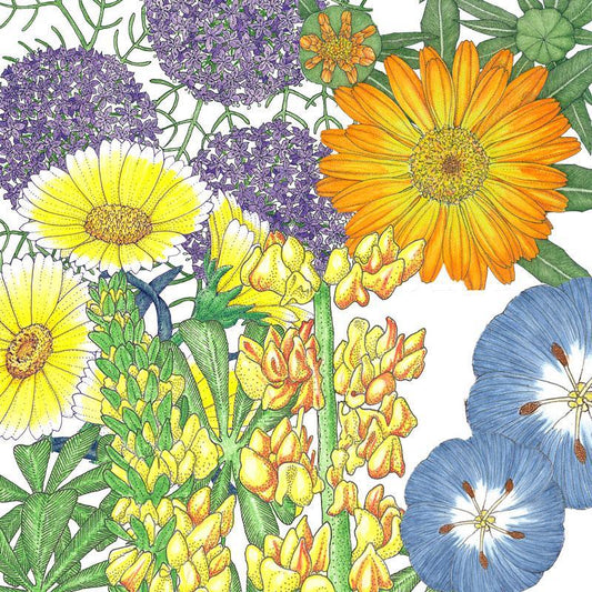 Peaceful Valley Flowering Pollinator Mix (lb)