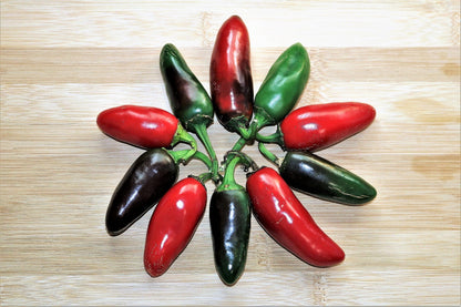 40 Organic Purple Jalapeño Pepper (Capsicum Annuum) Seeds