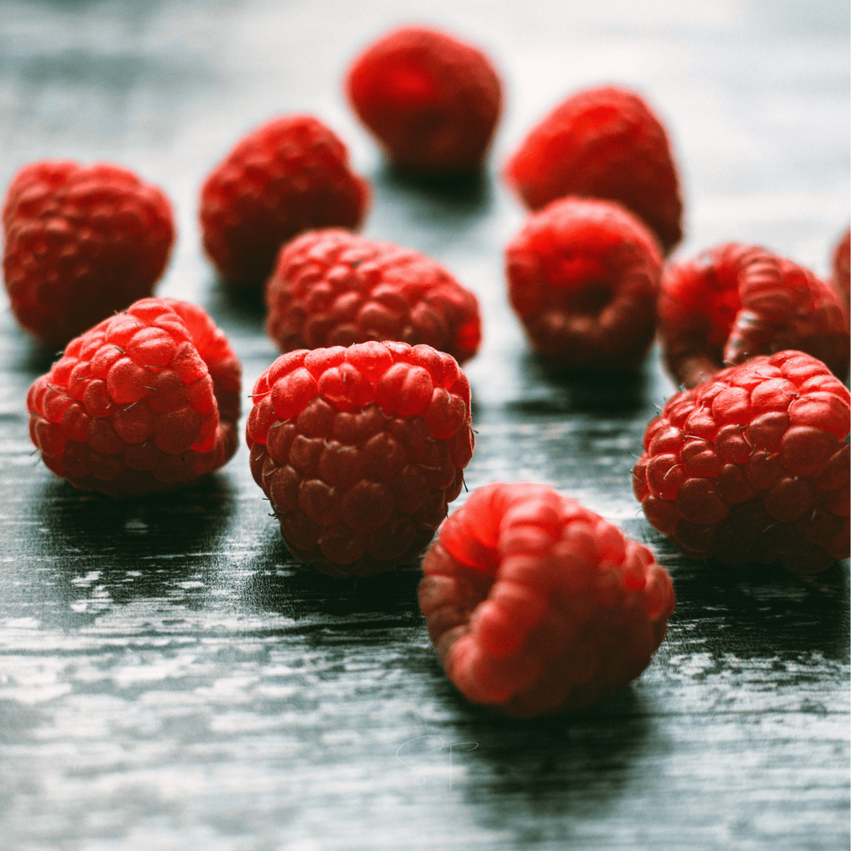 Naturalized European Raspberry Red European Raspberry – 30 Seeds – Haven Herbs
