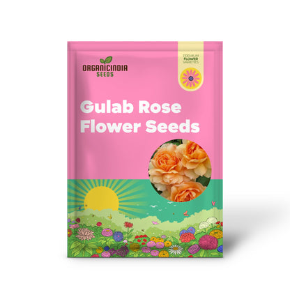 Gulab Rose (Lotus Orange) Flower Seeds