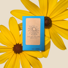 Rudbeckia Hirta 