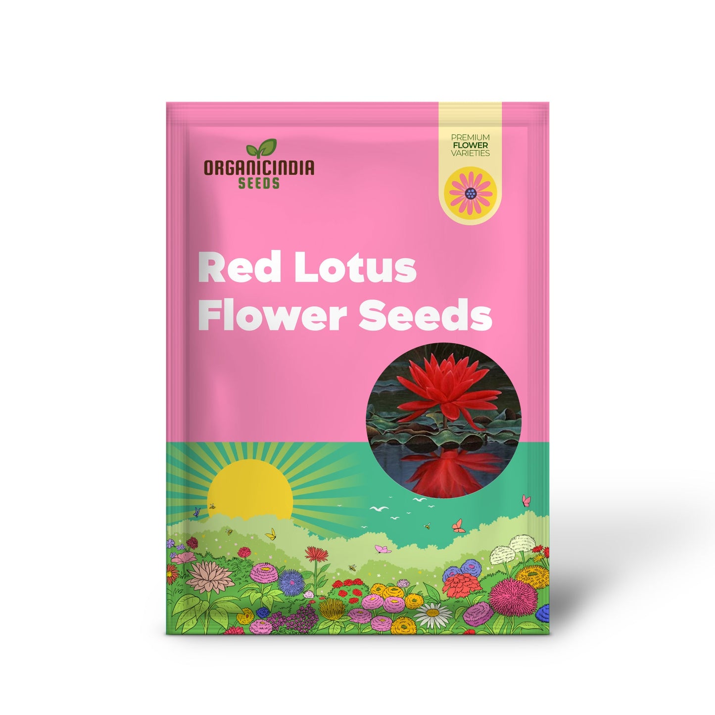 Red Lotus Flower Seeds