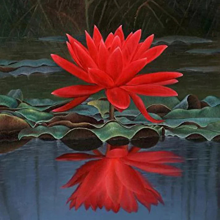 Red Lotus Flower Seeds