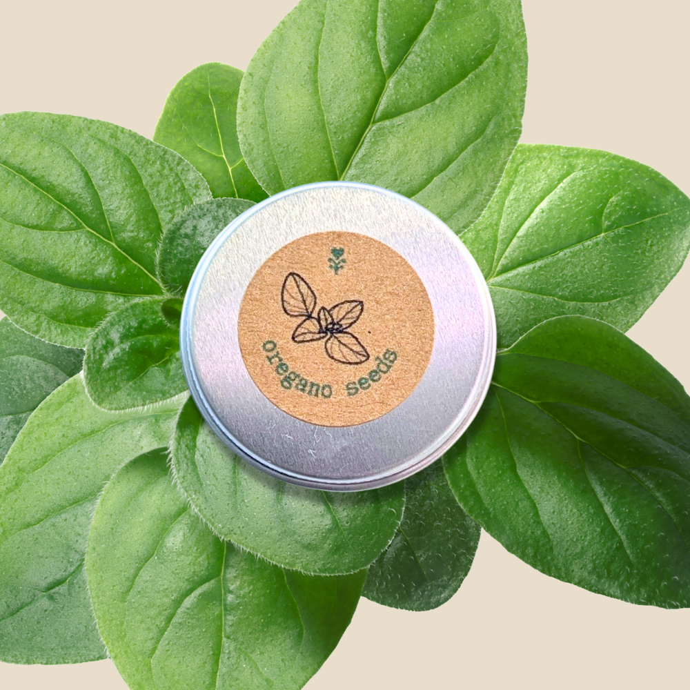 Organic Oregano Seeds