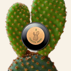 Opuntia Mix 