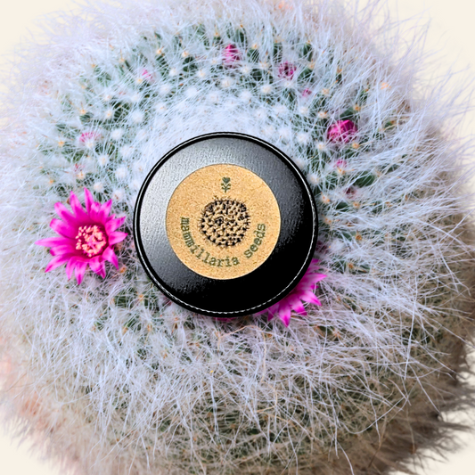 Mammillaria mix "Pincushion Cactus" Seeds