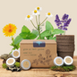 "Grow an Herb Garden" Herbal Teas Seed Kit