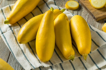 Early Prolific Straightneck Squash (Cucurbita pepo) Seeds – 50 ct