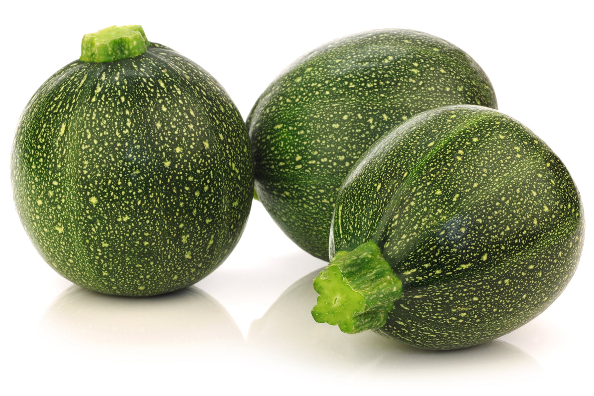 Round Zucchini (Cucurbita pepo) Seeds – 50 ct