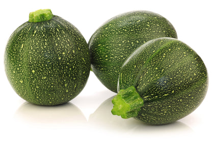 Round Zucchini (Cucurbita pepo) Seeds – 50 ct