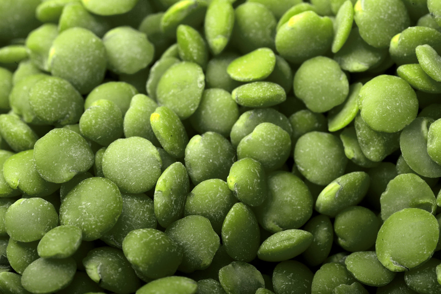 100 Green Lentil(Lens Culinaris)Seeds