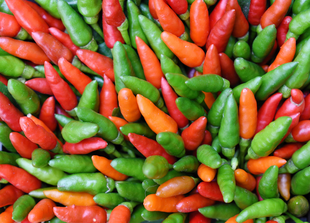 30 Birds Eye / Chilitepin Pepper (Capsicum Frutescens) Seeds