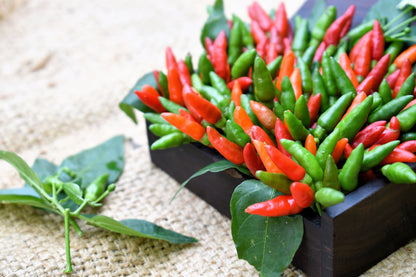 30 Birds Eye / Chilitepin Pepper (Capsicum Frutescens) Seeds