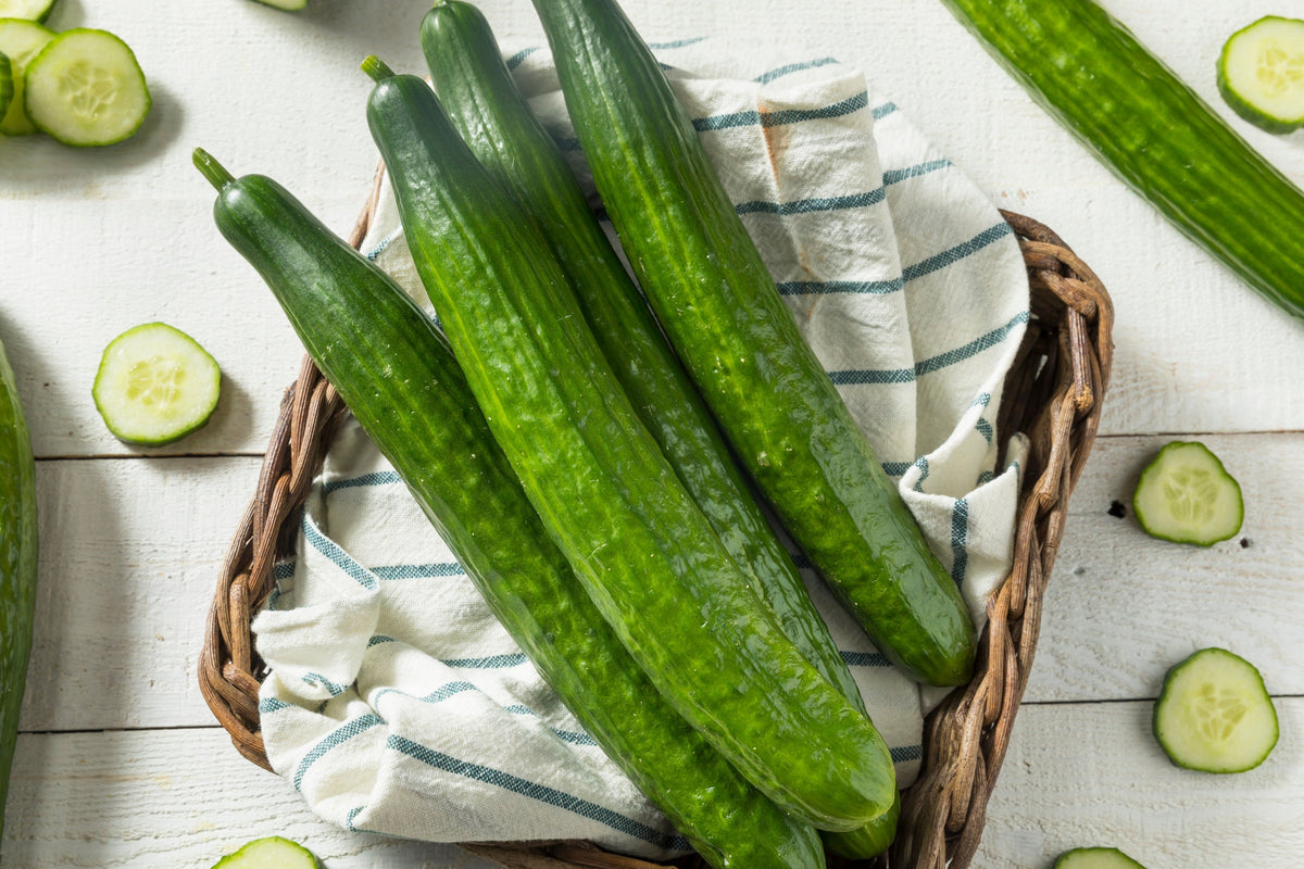 30 English Cucumber (Cucumis Sativus) Seeds