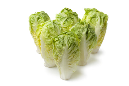 3000 Little Gem Lettuce (Lactuca Sativa) Seeds