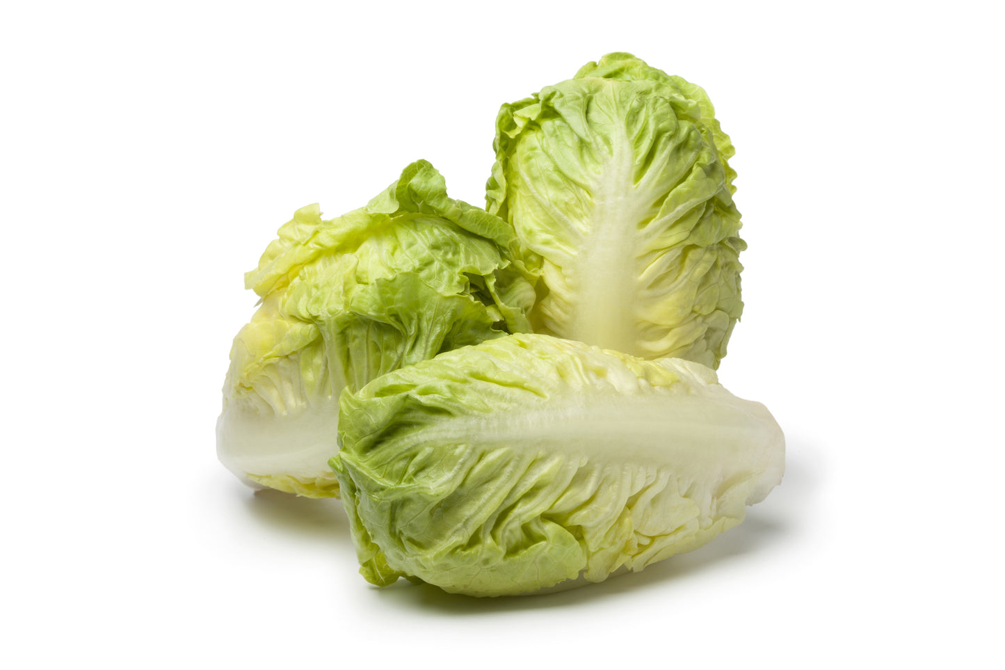 3000 Little Gem Lettuce (Lactuca Sativa) Seeds