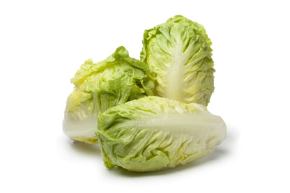 3000 Little Gem Lettuce (Lactuca Sativa) Seeds
