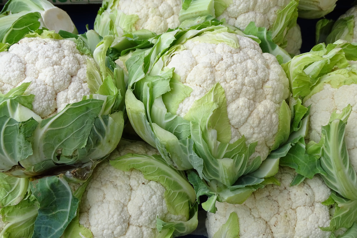 250 SNOWBALL CAULIFLOWER Brassica Oleracea Botrytis Vegetable Seeds