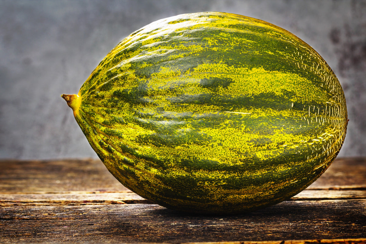 Piel De Sapo Melon (Cucumis melo) Seeds – 50 ct