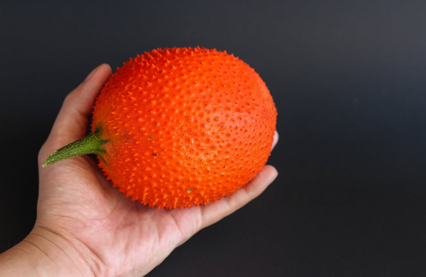 2 Gac Fruit (Momordica Cochinchinensis) Seeds