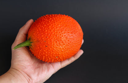2 Gac Fruit (Momordica Cochinchinensis) Seeds