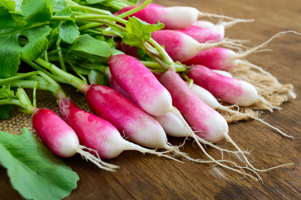 750 French Breakfast Radish (Raphanus Sativus) Seeds