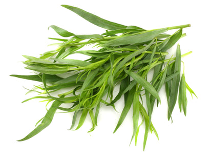 100 Tarragon (Artemisia Dracunculus) Seeds
