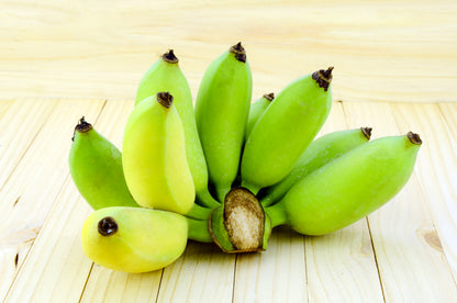 Plantain Banana (Musa balbisiana) Seeds – 5 ct