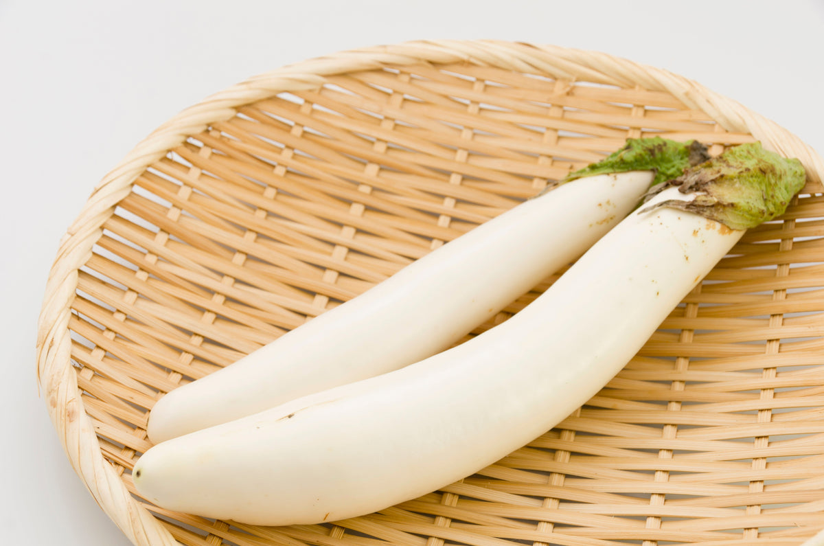40 White Star FINGER FRUIT EGGPLANT Solanum Melongena Aubergine Fruit Vegetable Seeds