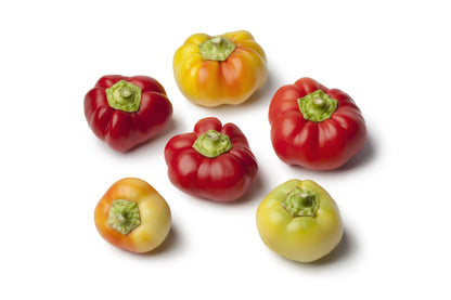 Alma Paprika Pepper (Capsicum annuum) Seeds – 25 ct