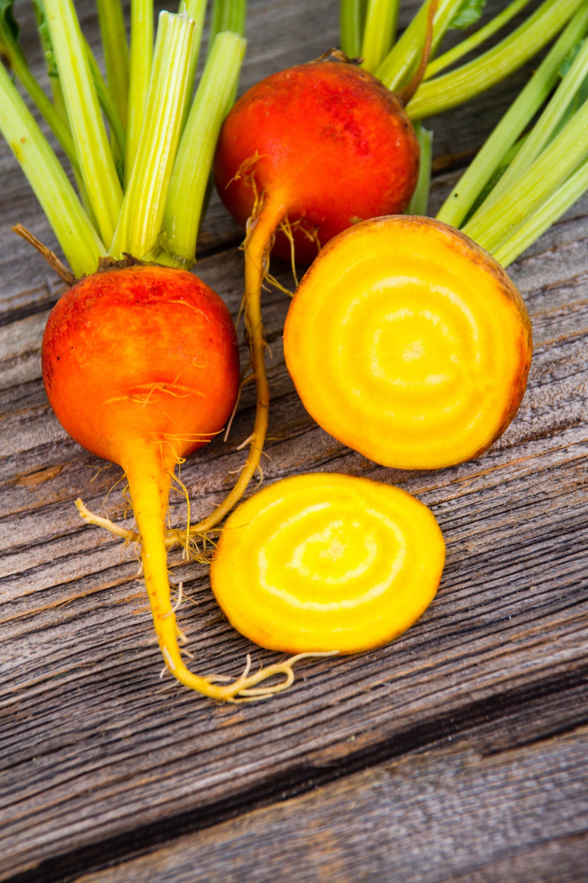30 BURPEE'S GOLDEN BEET Beta Vulgaris Yellow Root Vegetable Seeds