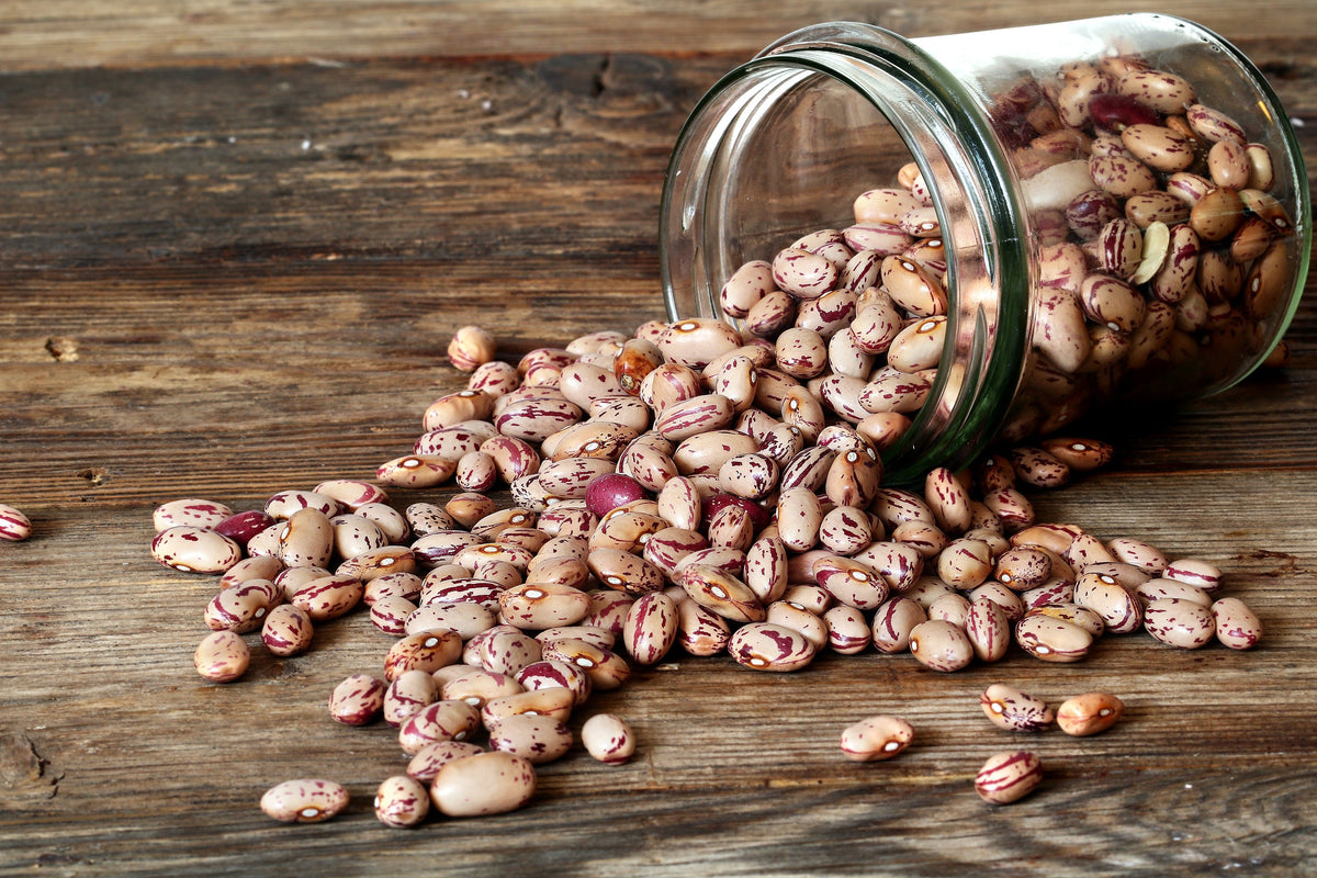Borlotti Cranberry Bean (Phaseolus vulgaris) Seeds – 50 ct