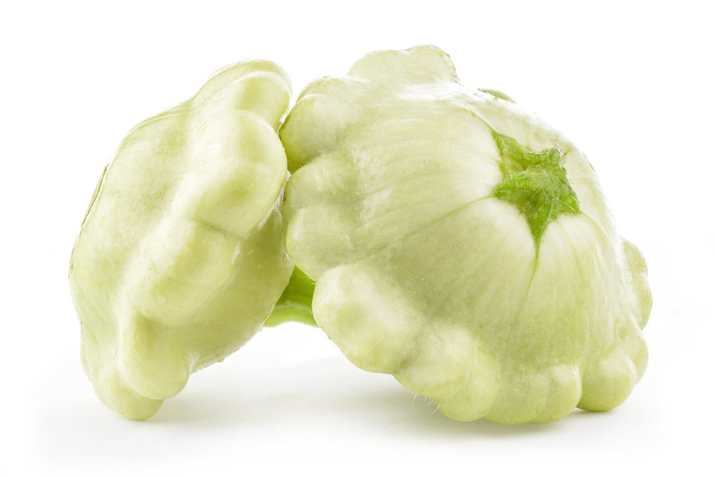 50 Patty Pan Squash (Cucurbita Pepo) Seeds