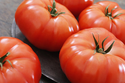 500 Beefsteak Tomato (Lycopersicon Lycopersicum) Seeds