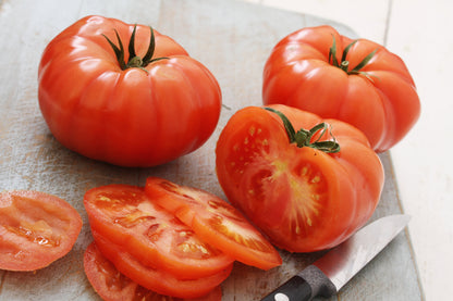 500 Beefsteak Tomato (Lycopersicon Lycopersicum) Seeds