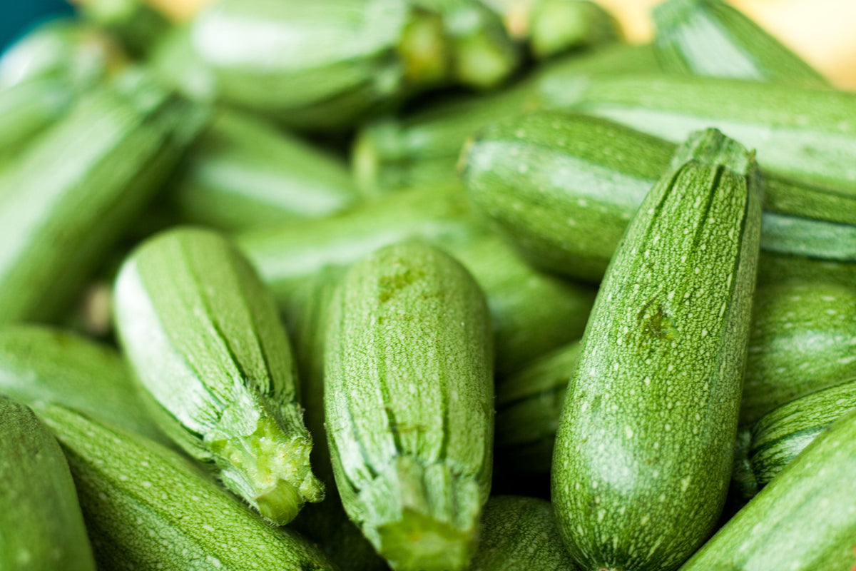 30 GRAY ZUCCHINI Heirloom Summer Bush Squash Cucurbita Pepo Vegetable Seeds