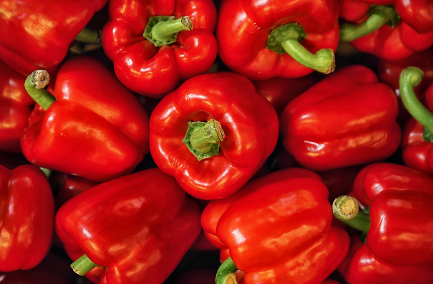 150 Big Red Bell Pepper (Capsicum Annuum) Seeds