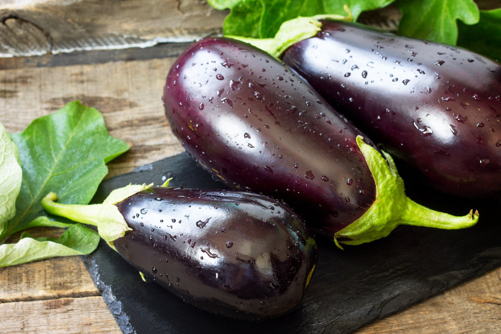 1000 Black Beauty Eggplant (Solanum Melongena Esculentum) Seeds