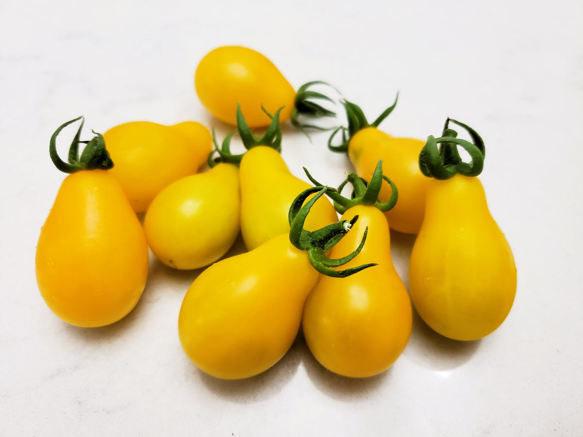 300 YELLOW PEAR TOMATO Lycopersicon Lycopersicum Fruit Vegetable Seeds