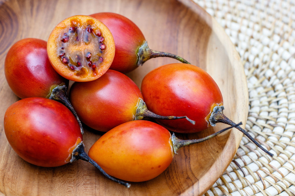 10 Tamarillo (Cyphomandra Betacea Solanum) Seeds